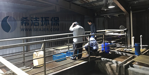 利来老牌国际官网铬废水重金属捕捉处理工艺