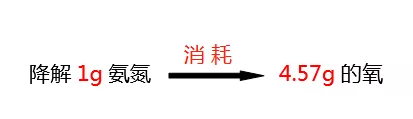 氨氮降解所需氧的比值_利来老牌国际官网环保