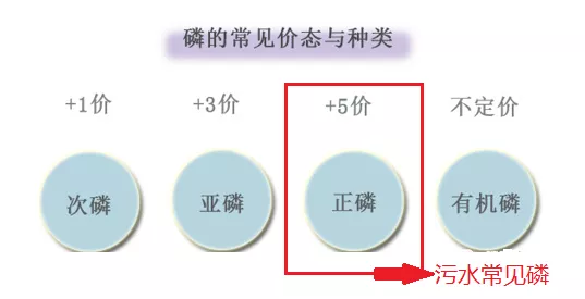 磷的价态_利来老牌国际官网环保